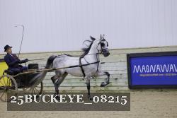 25BUCKEYE_08215 thumbnail