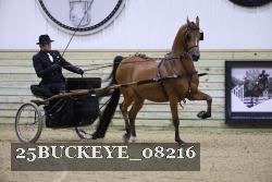 25BUCKEYE_08216 thumbnail