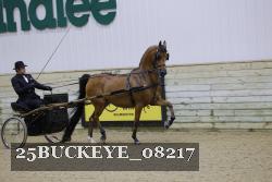 25BUCKEYE_08217 thumbnail