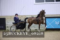 25BUCKEYE_08218 thumbnail