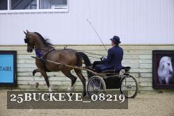 25BUCKEYE_08219 thumbnail