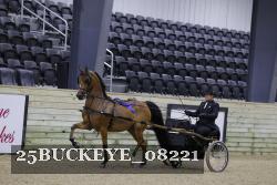 25BUCKEYE_08221 thumbnail