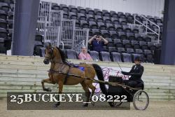 25BUCKEYE_08222 thumbnail