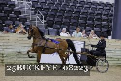 25BUCKEYE_08223 thumbnail