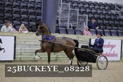 25BUCKEYE_08228 thumbnail
