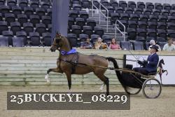 25BUCKEYE_08229 thumbnail