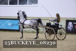 25BUCKEYE_08230 thumbnail