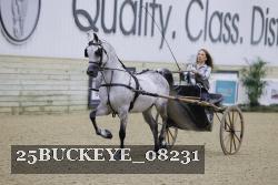 25BUCKEYE_08231 thumbnail