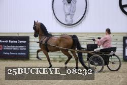 25BUCKEYE_08232 thumbnail