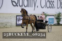 25BUCKEYE_08234 thumbnail