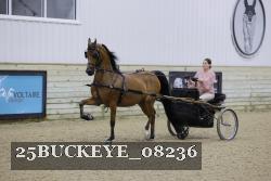 25BUCKEYE_08236 thumbnail
