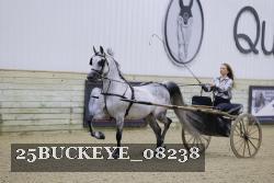 25BUCKEYE_08238 thumbnail