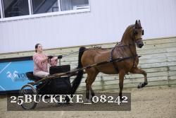 25BUCKEYE_08242 thumbnail