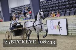 25BUCKEYE_08243 thumbnail