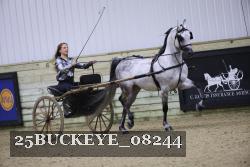 25BUCKEYE_08244 thumbnail