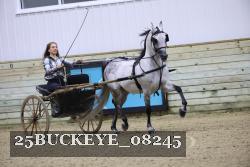 25BUCKEYE_08245 thumbnail