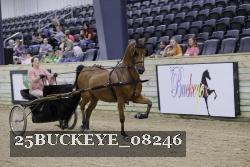 25BUCKEYE_08246 thumbnail