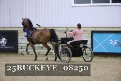 25BUCKEYE_08250 thumbnail