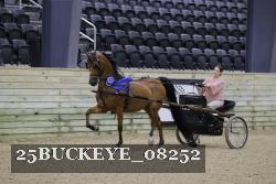25BUCKEYE_08252 thumbnail