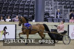 25BUCKEYE_08253 thumbnail