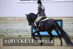 25BUCKEYE_08254 thumbnail