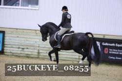 25BUCKEYE_08255 thumbnail