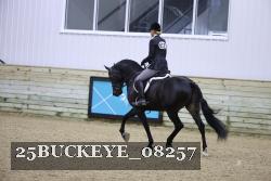 25BUCKEYE_08257 thumbnail