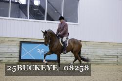 25BUCKEYE_08258 thumbnail