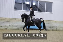 25BUCKEYE_08259 thumbnail