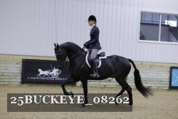 25BUCKEYE_08262 thumbnail