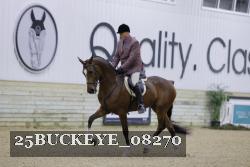 25BUCKEYE_08270 thumbnail