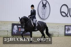 25BUCKEYE_08271 thumbnail