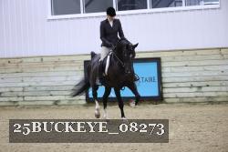 25BUCKEYE_08273 thumbnail