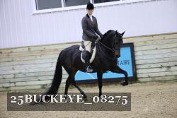25BUCKEYE_08275 thumbnail
