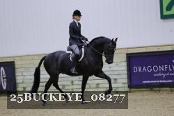 25BUCKEYE_08277 thumbnail