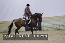 25BUCKEYE_08278 thumbnail