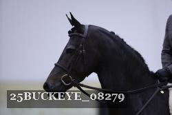 25BUCKEYE_08279 thumbnail