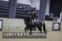 25BUCKEYE_08282 thumbnail