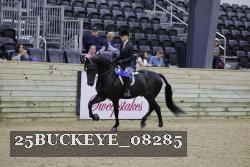 25BUCKEYE_08285 thumbnail