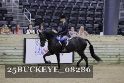 25BUCKEYE_08286 thumbnail
