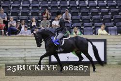 25BUCKEYE_08287 thumbnail