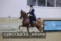 25BUCKEYE_08288 thumbnail