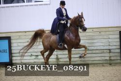 25BUCKEYE_08291 thumbnail