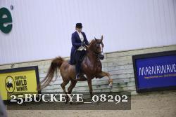 25BUCKEYE_08292 thumbnail
