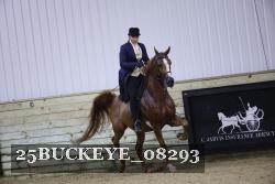 25BUCKEYE_08293 thumbnail