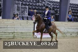 25BUCKEYE_08297 thumbnail