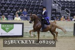 25BUCKEYE_08299 thumbnail