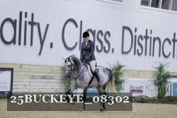 25BUCKEYE_08302 thumbnail