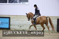 25BUCKEYE_08303 thumbnail