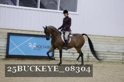 25BUCKEYE_08304 thumbnail